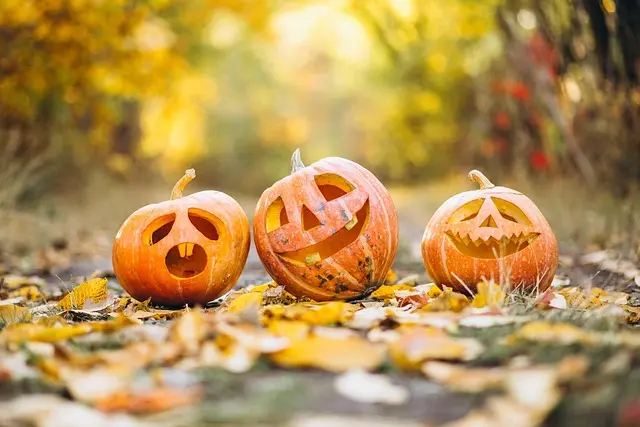 Cómo elegir el disfraz de Halloween ideal para ti