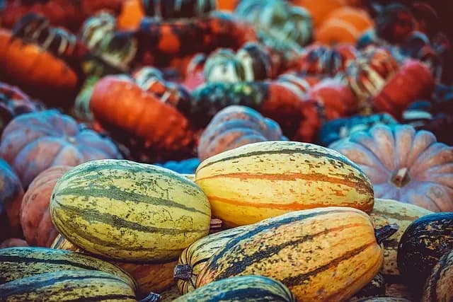 10 ideas innovadoras para tus disfraces de Halloween
