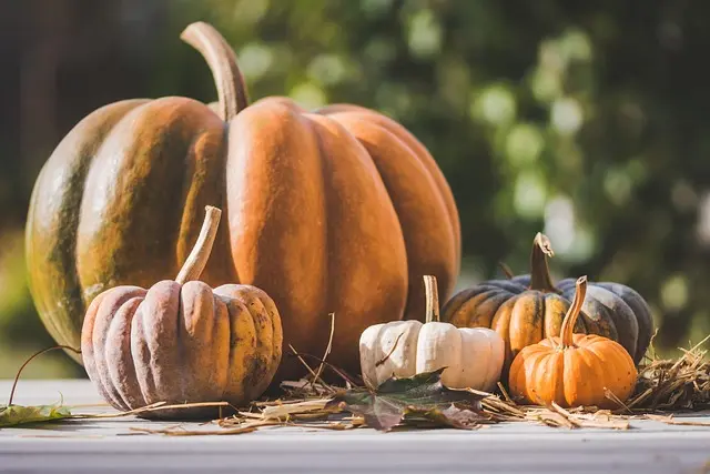 Cómo elegir el disfraz perfecto de Halloween para ti