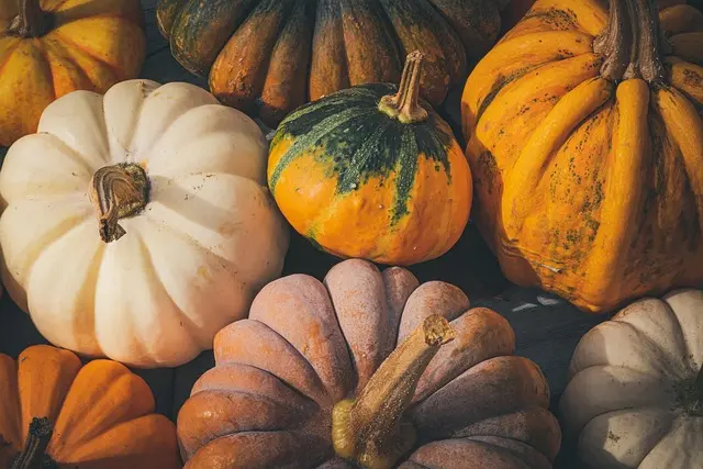 Cómo elegir el disfraz de Halloween perfecto para tus hijos