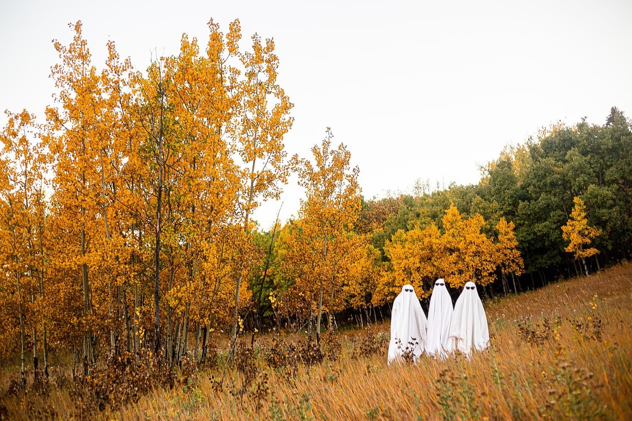 Cómo elegir un disfraz de Halloween que destaque este año
