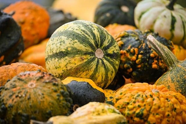 10 ideas originales para disfraces de Halloween en familia